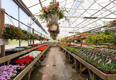 Saturday Painting at Bedner's Farm and Greenhouse! (6/21/14)